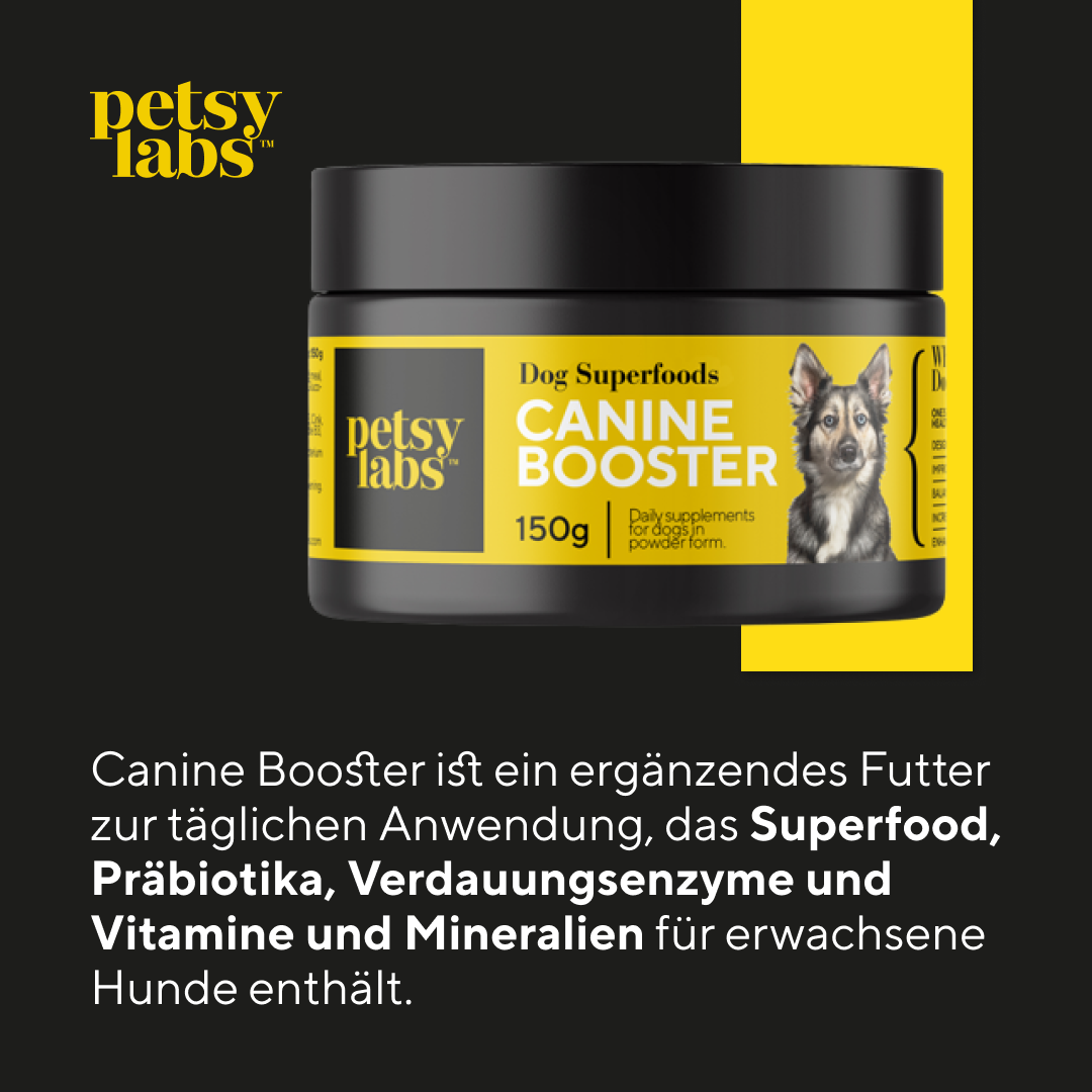 Canine Booster Petsy Labs