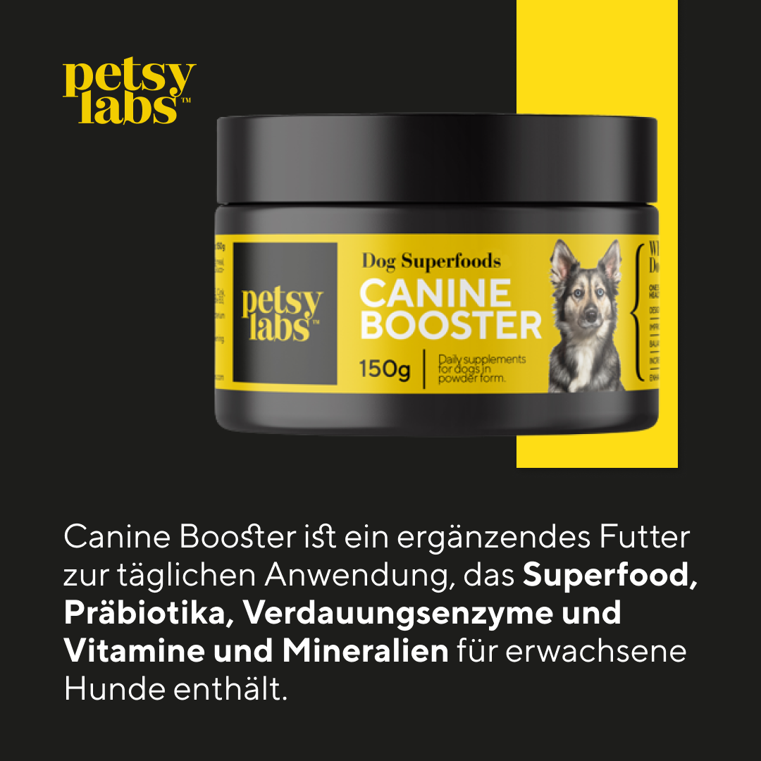 Canine Booster Petsy Labs canine-booster-petsy-labs